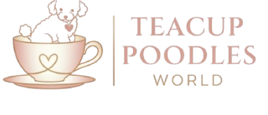 teacuppoodlesworld